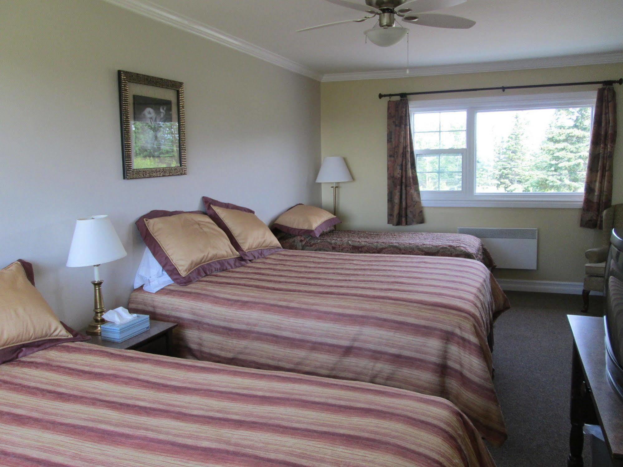 Scenic Motel Монктон Екстер'єр фото